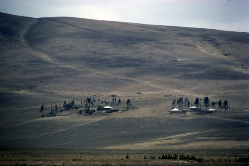 宮本常一 in tanzania