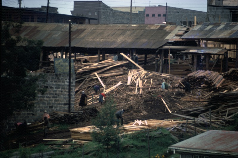 宮本常一 in kenya