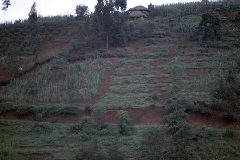 宮本常一 in kenya