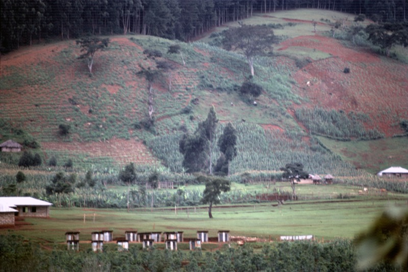 宮本常一 in kenya