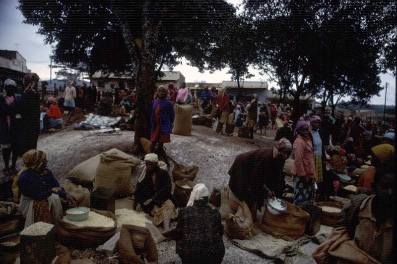 宮本常一 in kenya