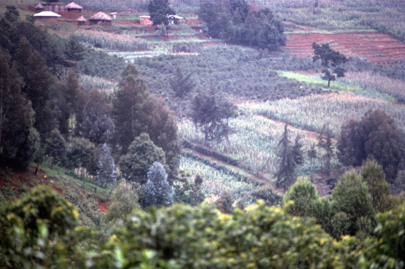 宮本常一 in kenya