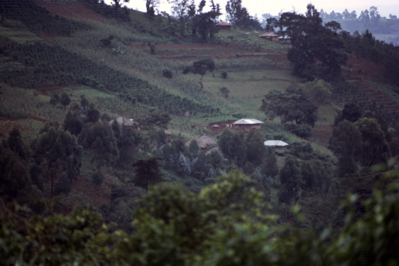 宮本常一 in kenya