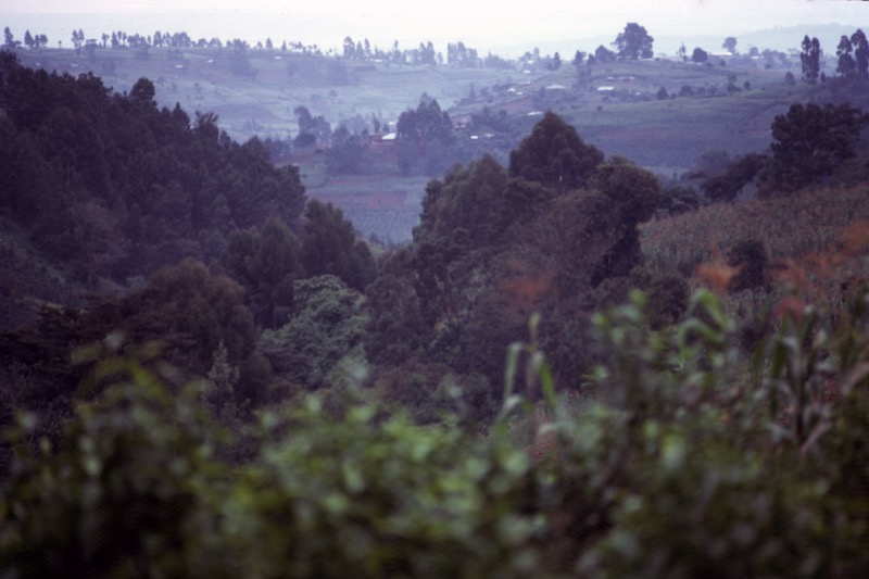 宮本常一 in kenya