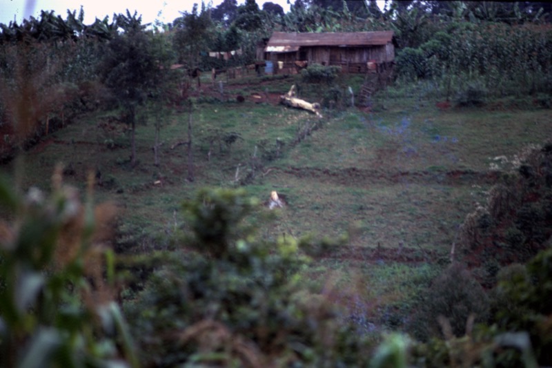 宮本常一 in kenya