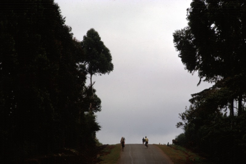 宮本常一 in kenya