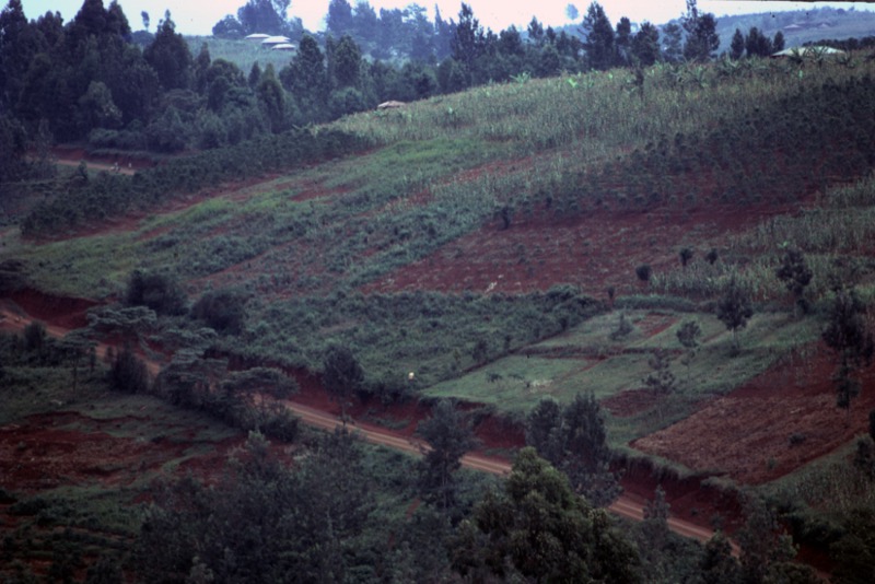 宮本常一 in kenya