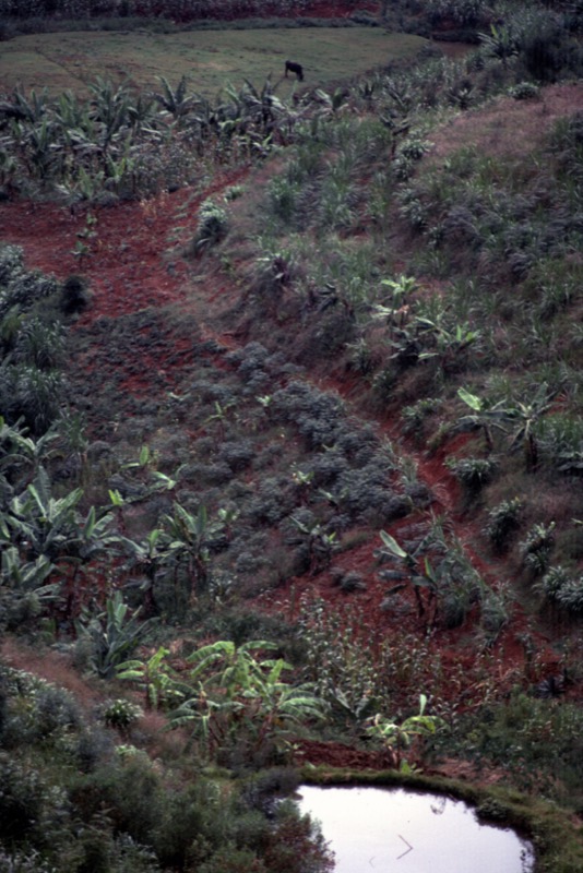 宮本常一 in kenya