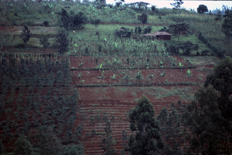 宮本常一 in kenya