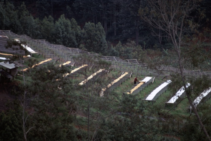 宮本常一 in kenya