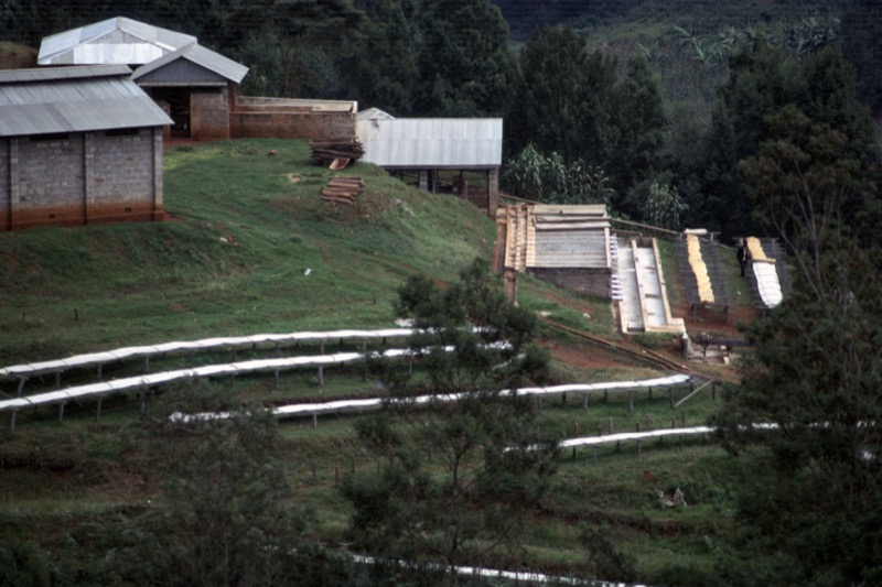 宮本常一 in kenya