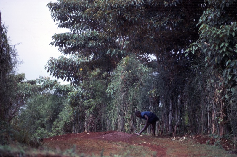 宮本常一 in kenya