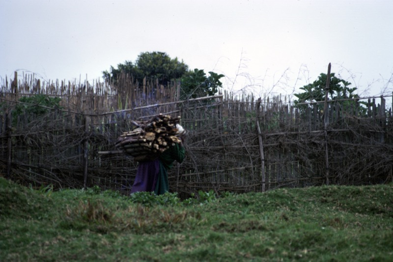 宮本常一 in kenya