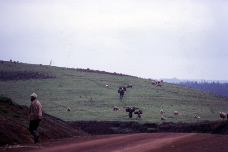 宮本常一 in kenya