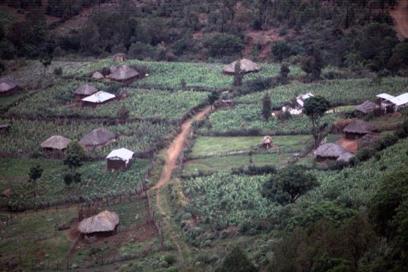 宮本常一 in kenya