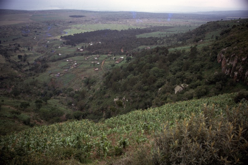 宮本常一 in kenya