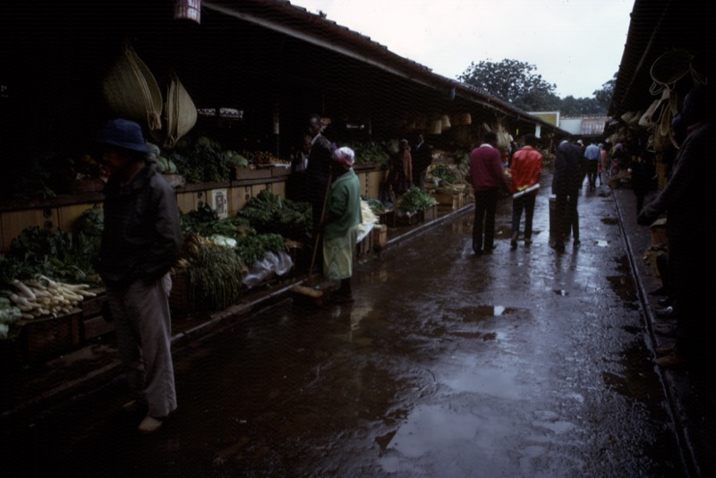 宮本常一 in kenya