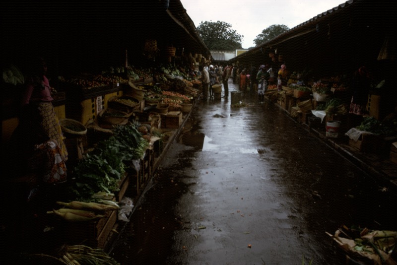 宮本常一 in kenya