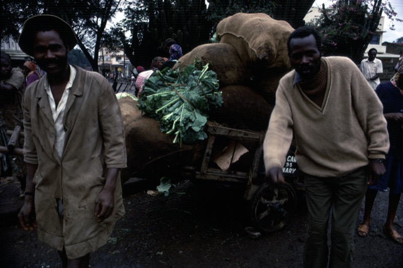 宮本常一 in kenya