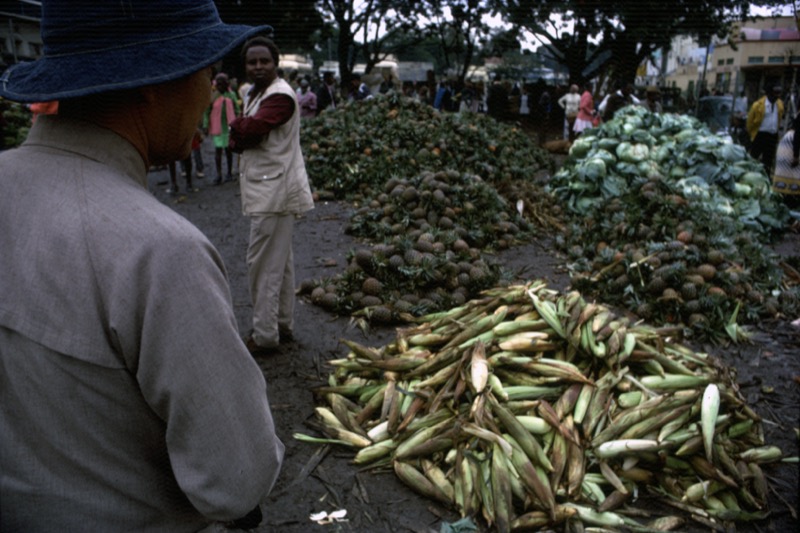 宮本常一 in kenya