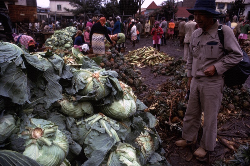 宮本常一 in kenya