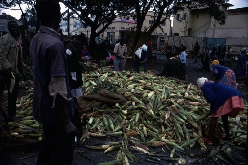 宮本常一 in kenya