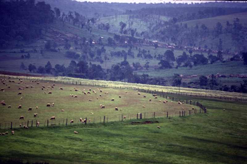 宮本常一 in kenya