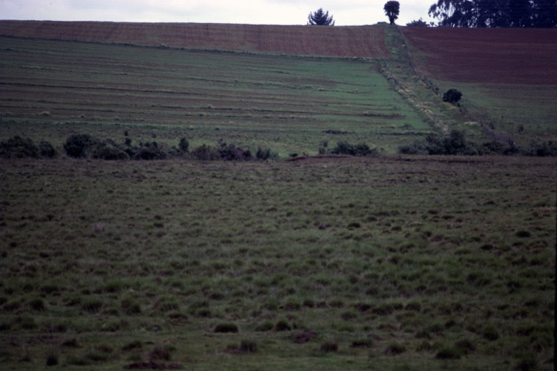 宮本常一 in kenya