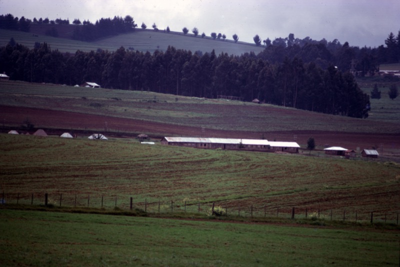 宮本常一 in kenya