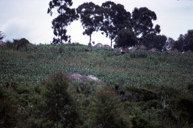 宮本常一 in kenya