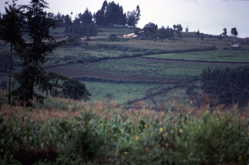 宮本常一 in kenya