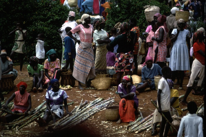 宮本常一 in kenya