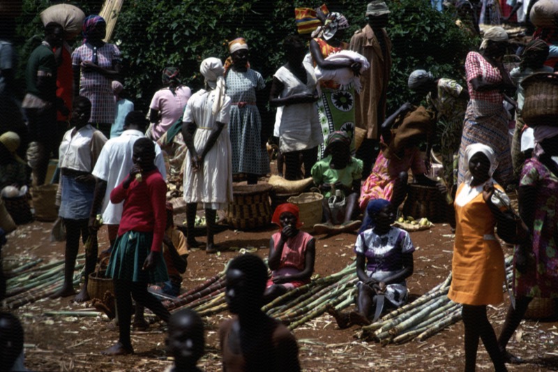 宮本常一 in kenya