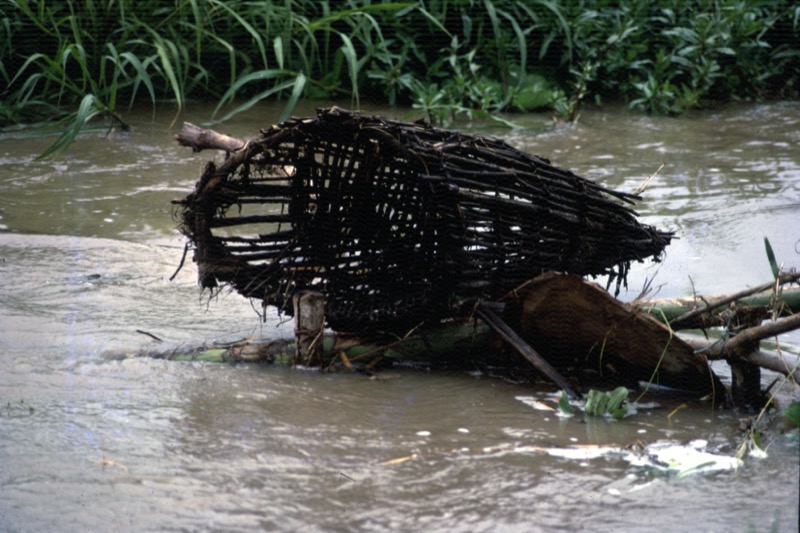 宮本常一 in kenya