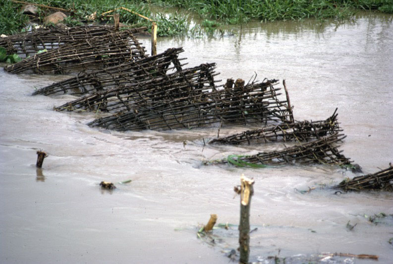 宮本常一 in kenya