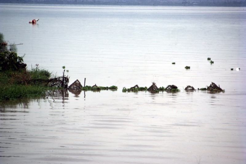 宮本常一 in kenya