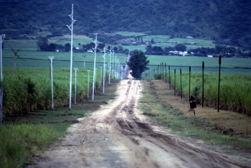 宮本常一 in kenya