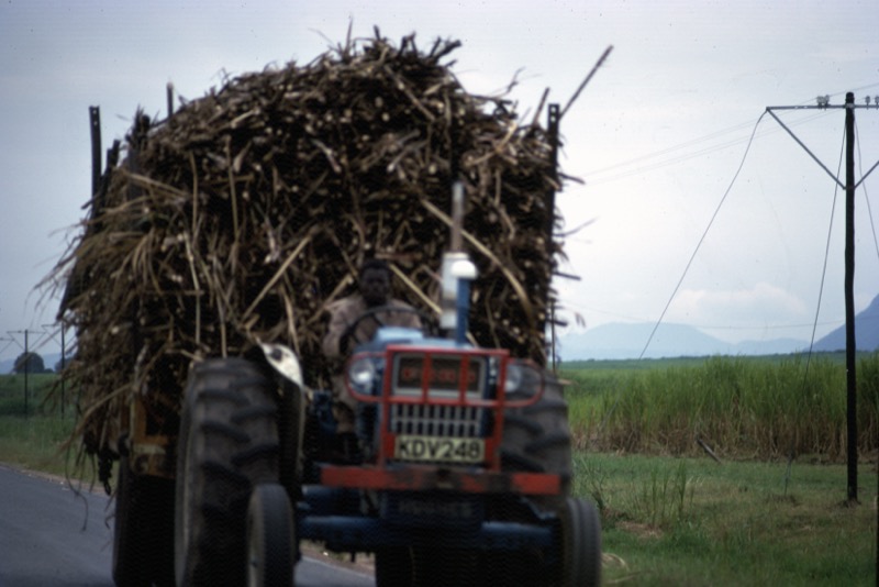 宮本常一 in kenya