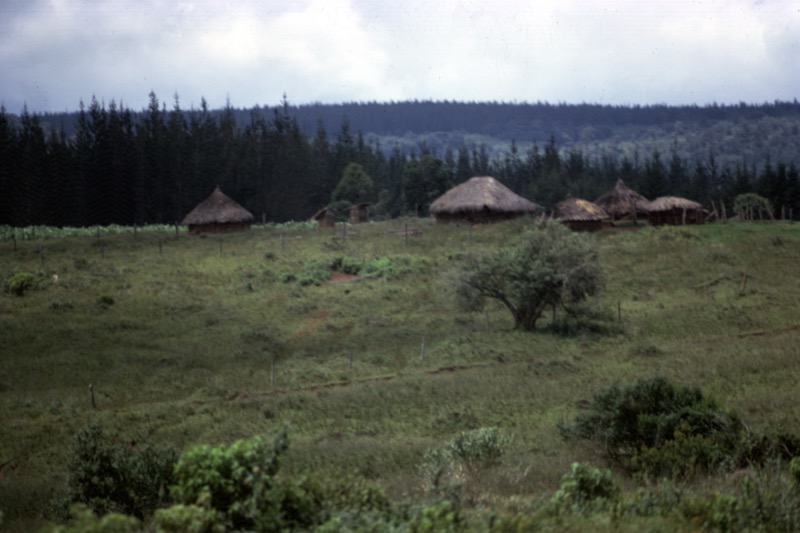 宮本常一 in kenya