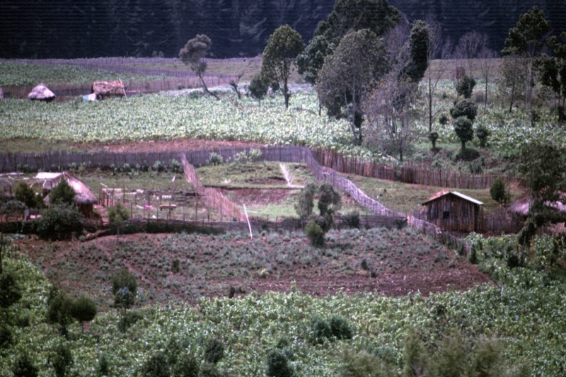 宮本常一 in kenya