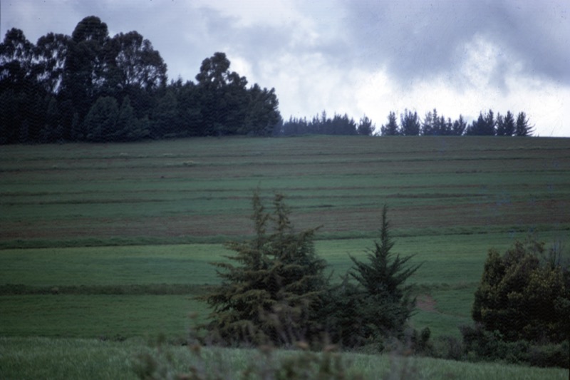 宮本常一 in kenya