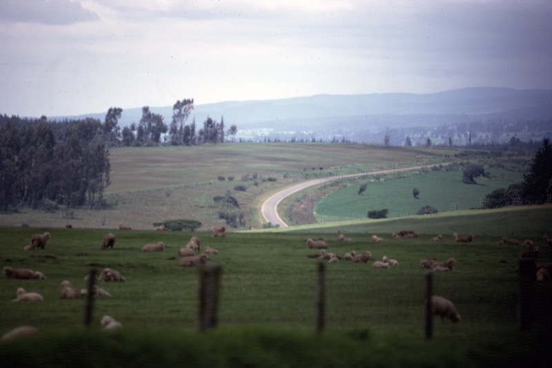 宮本常一 in kenya