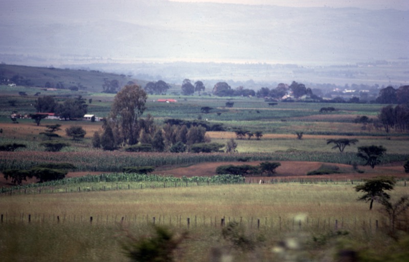 宮本常一 in kenya