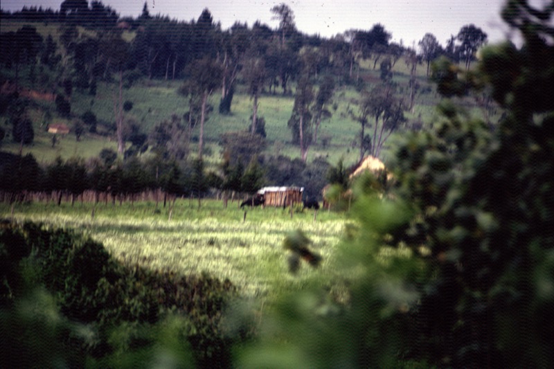 宮本常一 in kenya