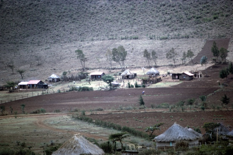 宮本常一 in kenya