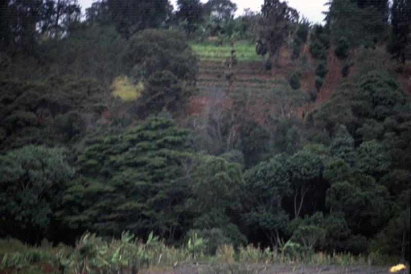 宮本常一 in kenya