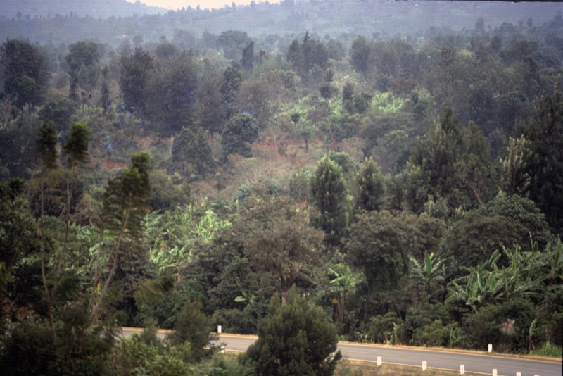 宮本常一 in kenya