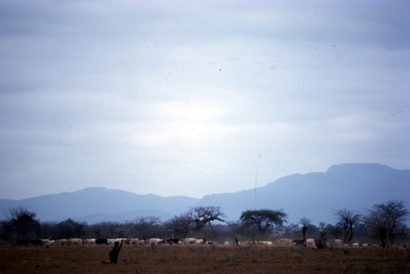 宮本常一 in kenya