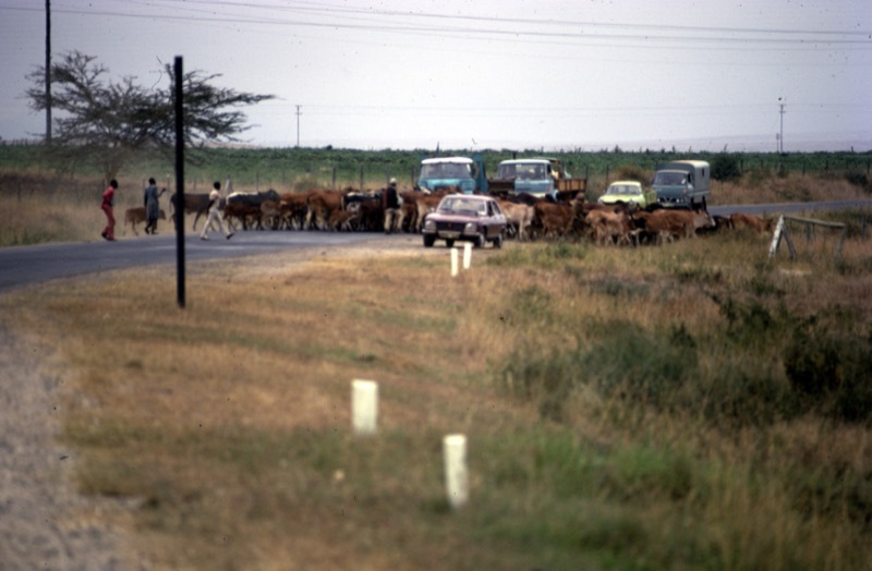 宮本常一 in kenya