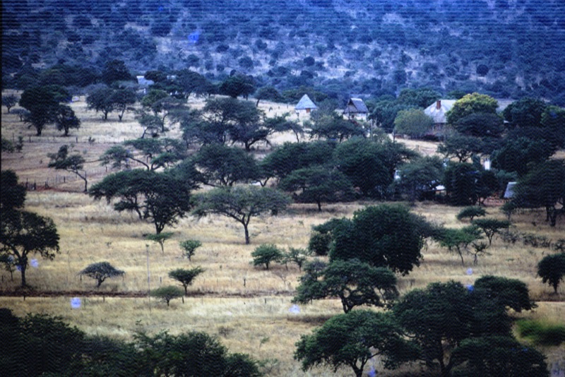 宮本常一 in kenya